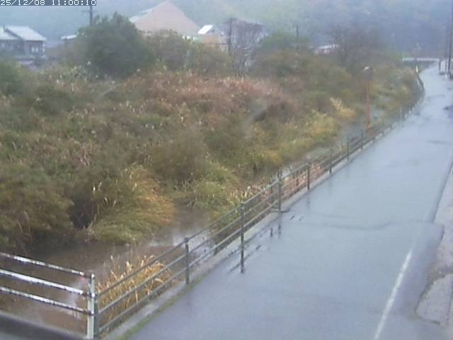 勝見川１2025/12/08 11:30:00