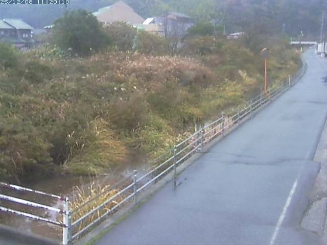 勝見川１2025/12/08 11:30:00