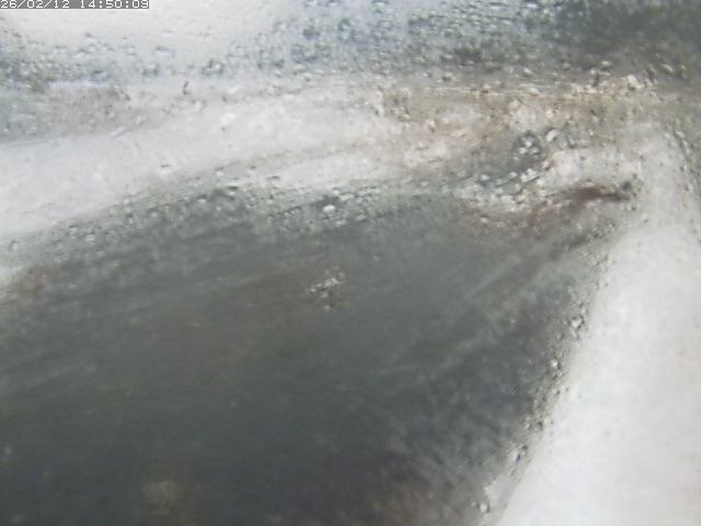 八東川７2026/02/12 18:50:00