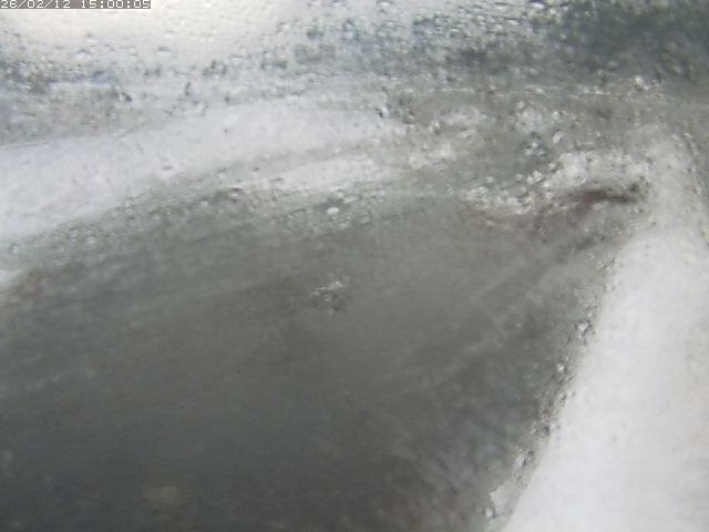 八東川７2026/02/12 18:50:00