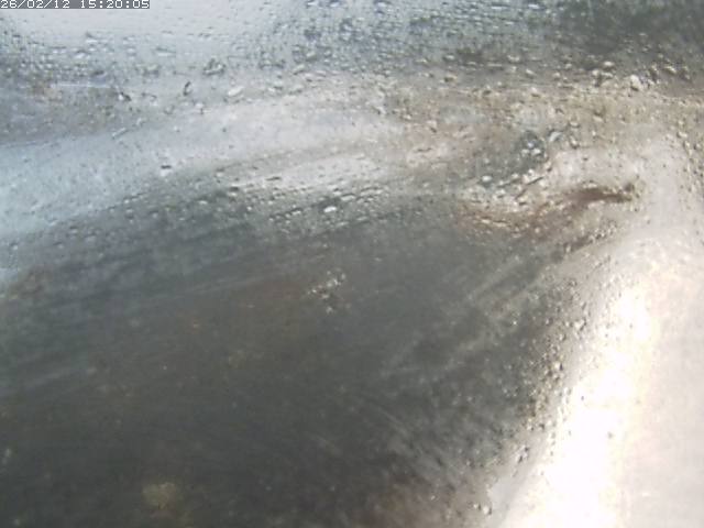 八東川７2026/02/12 18:50:00