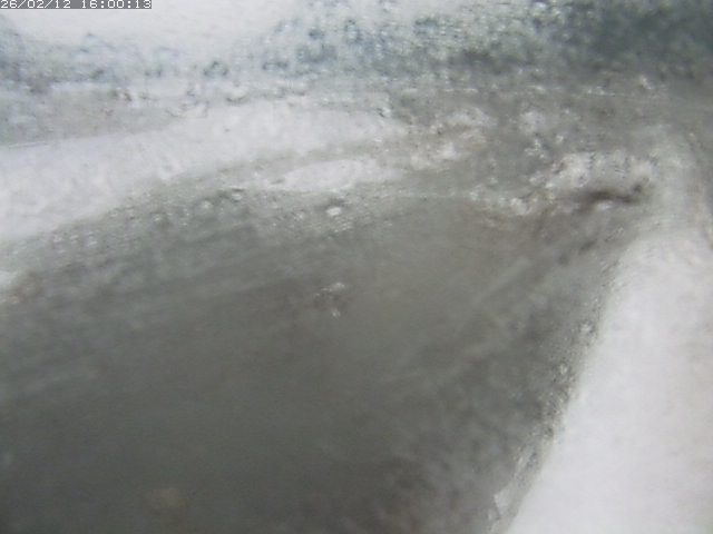 八東川７2026/02/12 18:50:00