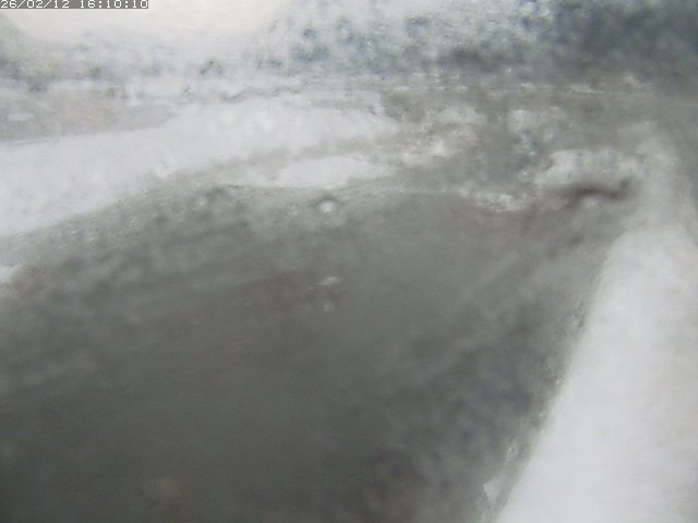 八東川７2026/02/12 18:50:00