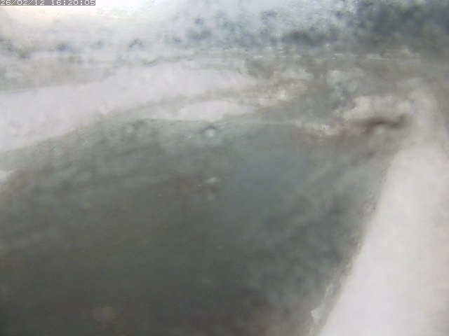 八東川７2026/02/12 18:50:00