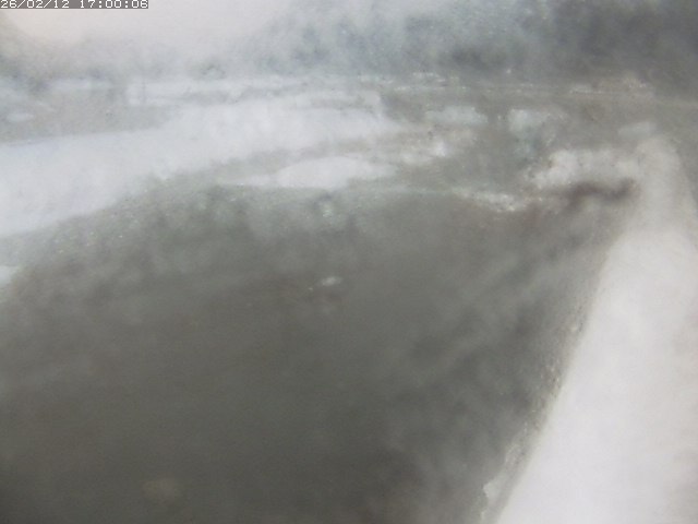 八東川７2026/02/12 18:50:00