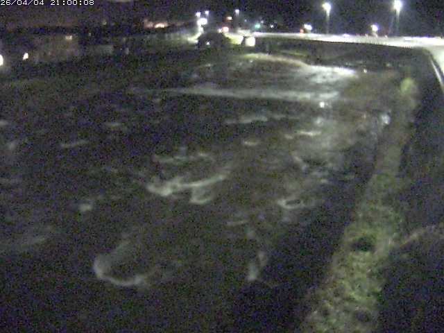 八東川７2026/04/05 3:30:00