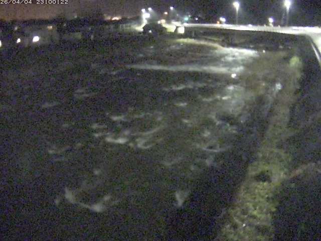 八東川７2026/04/05 3:30:00