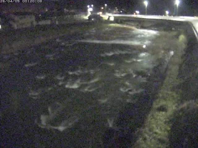 八東川７2026/04/05 3:30:00