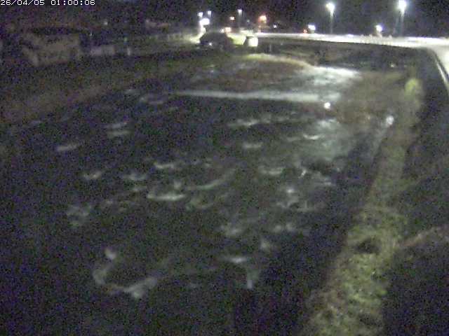 八東川７2026/04/05 3:30:00