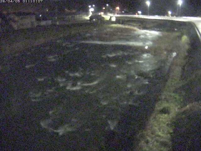 八東川７2026/04/05 3:30:00