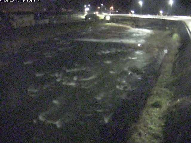 八東川７2026/04/05 3:30:00