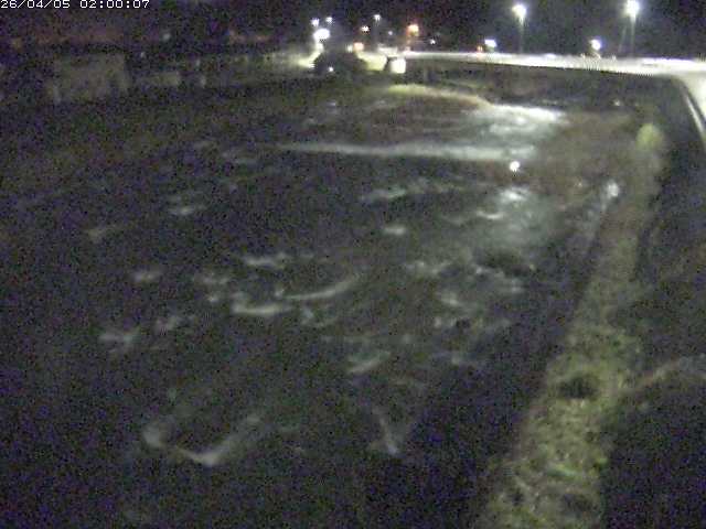 八東川７2026/04/05 3:30:00