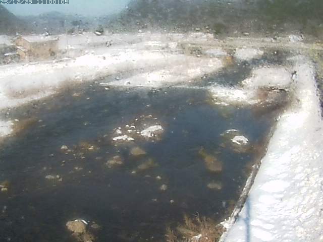 八東川７2025/12/29 9:50:00