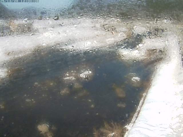 八東川７2025/12/29 9:50:00