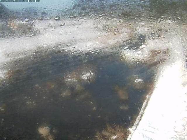 八東川７2025/12/29 9:50:00