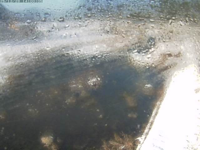 八東川７2025/12/29 9:50:00