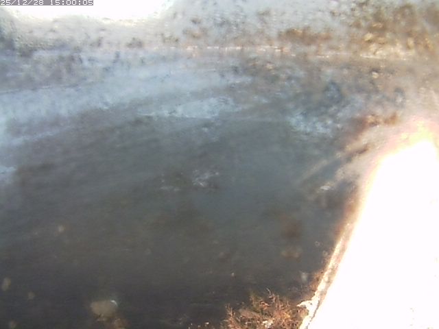 八東川７2025/12/29 9:50:00