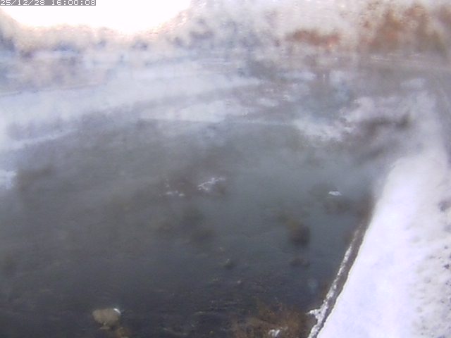 八東川７2025/12/29 9:50:00