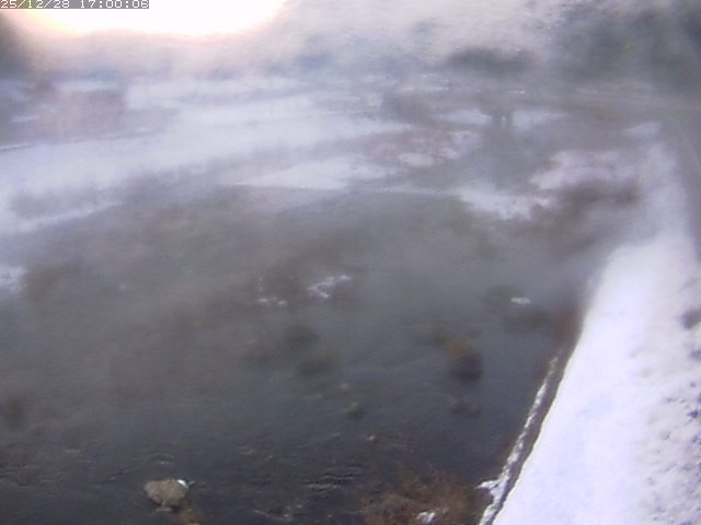 八東川７2025/12/29 9:50:00