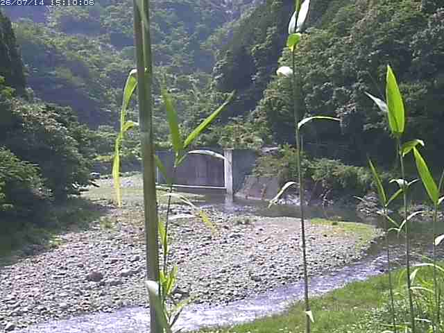 千代川２2026/07/14 15:20:00