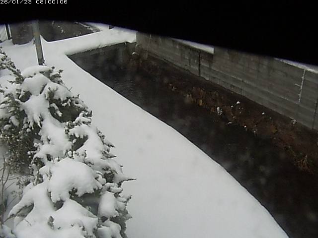 玉川２（中流）2026/01/24 1:50:00