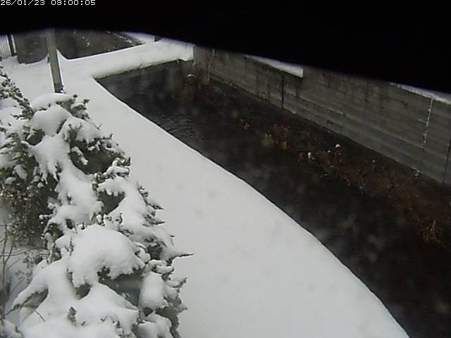 玉川２（中流）2026/01/24 1:50:00