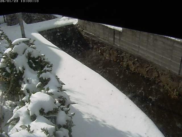 玉川２（中流）2026/01/24 1:50:00