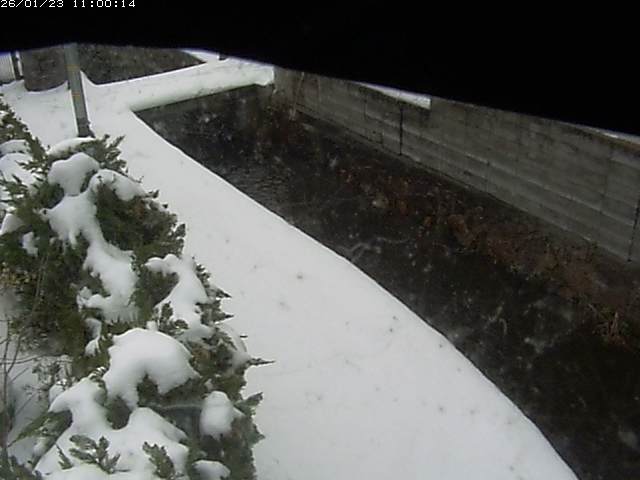 玉川２（中流）2026/01/24 1:50:00