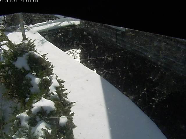 玉川２（中流）2026/01/24 1:50:00