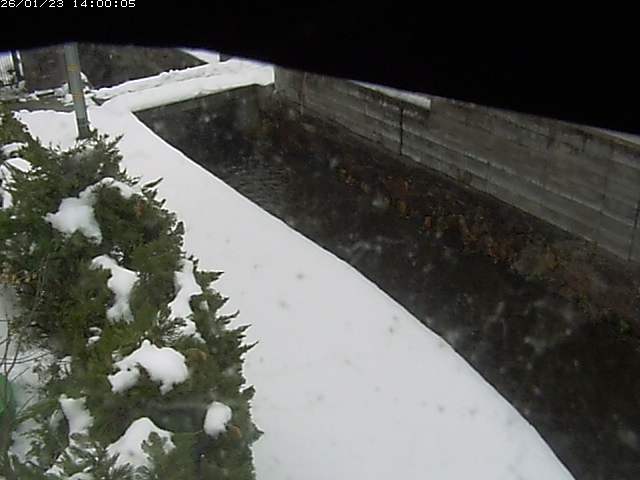 玉川２（中流）2026/01/24 1:50:00