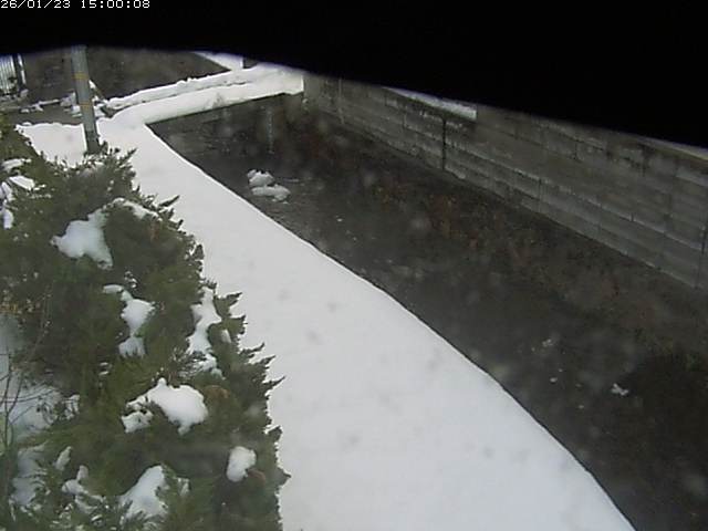 玉川２（中流）2026/01/24 1:50:00