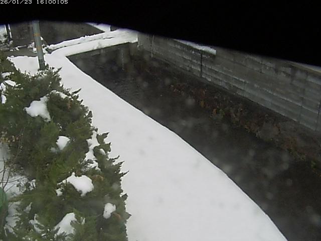 玉川２（中流）2026/01/24 1:50:00