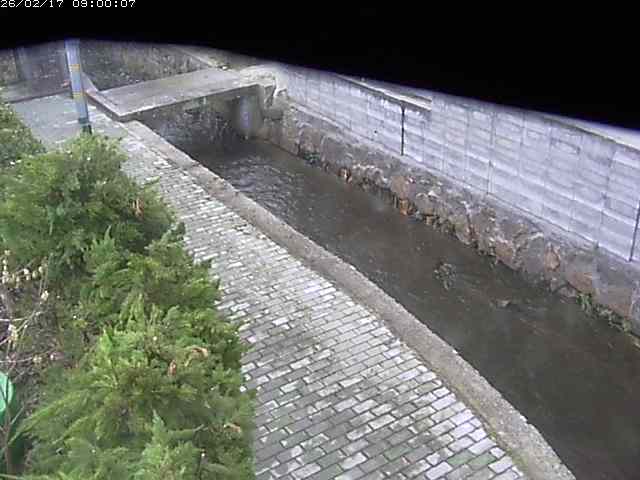 玉川２（中流）2026/02/17 18:20:00