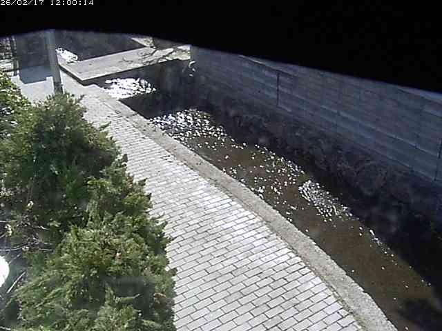 玉川２（中流）2026/02/17 18:20:00