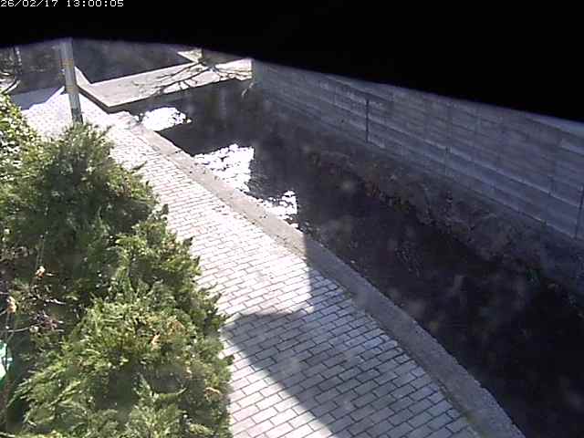 玉川２（中流）2026/02/17 18:20:00