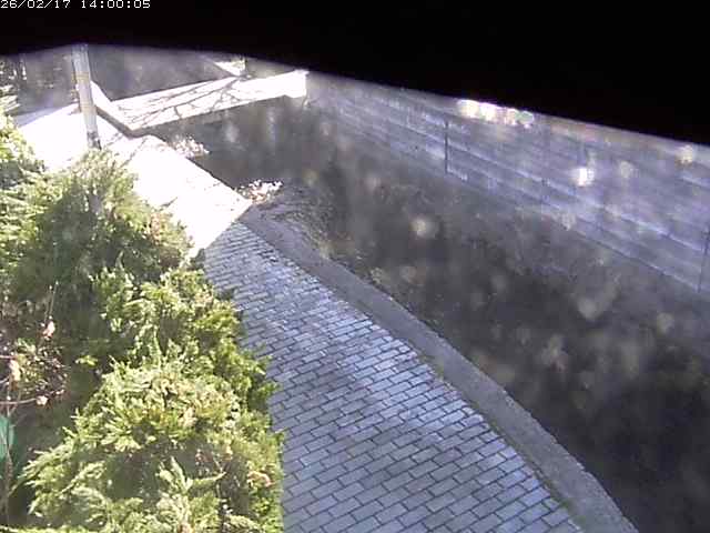 玉川２（中流）2026/02/17 18:20:00