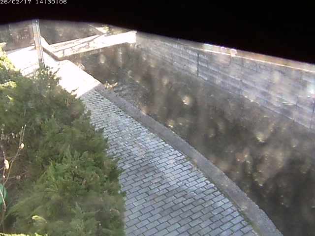 玉川２（中流）2026/02/17 18:20:00