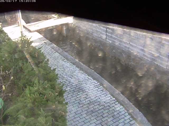 玉川２（中流）2026/02/17 18:20:00