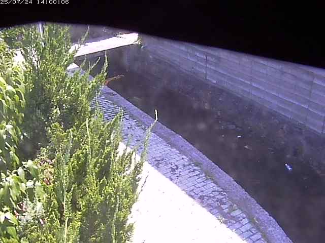 玉川２（中流）2025/07/25 4:30:00
