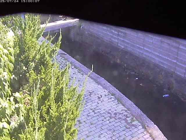 玉川２（中流）2025/07/25 4:30:00