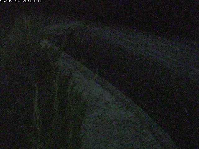 玉川２（中流）2025/07/25 4:30:00