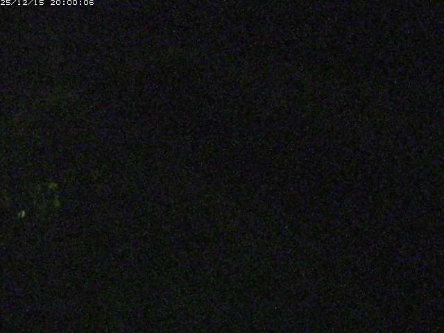 玉川２（中流）2025/12/16 8:50:00