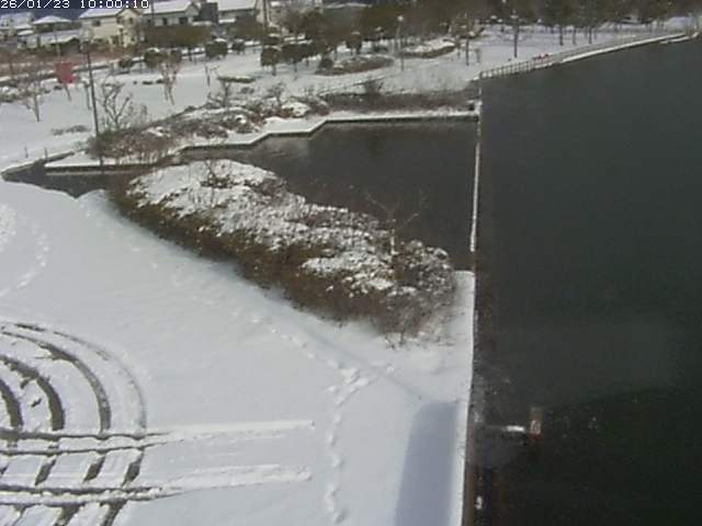東郷池２2026/01/24 2:20:00