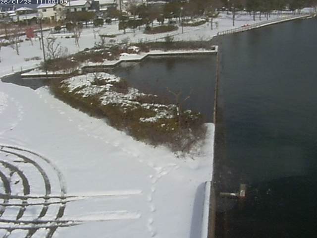 東郷池２2026/01/24 2:20:00