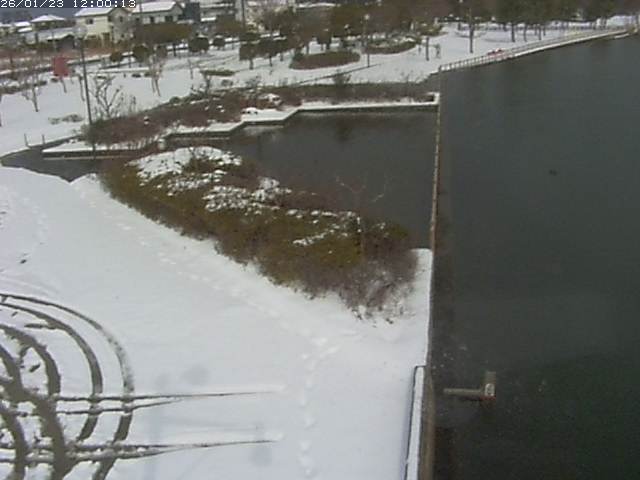 東郷池２2026/01/24 2:20:00