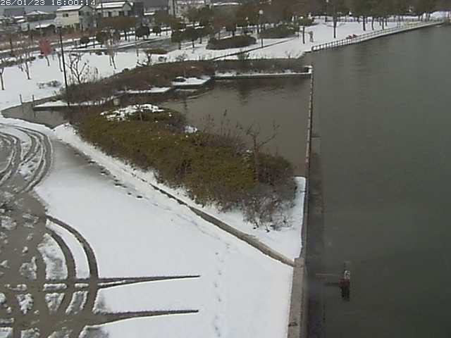 東郷池２2026/01/24 2:20:00