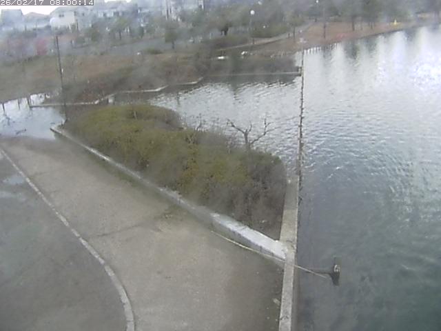 東郷池２2026/02/17 18:20:00
