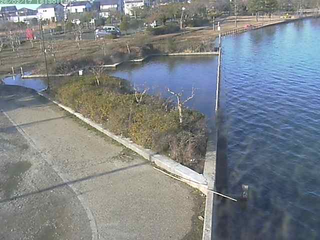 東郷池２2026/02/17 18:20:00