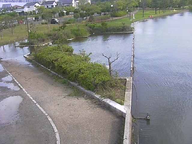 東郷池２2026/07/03 8:30:00