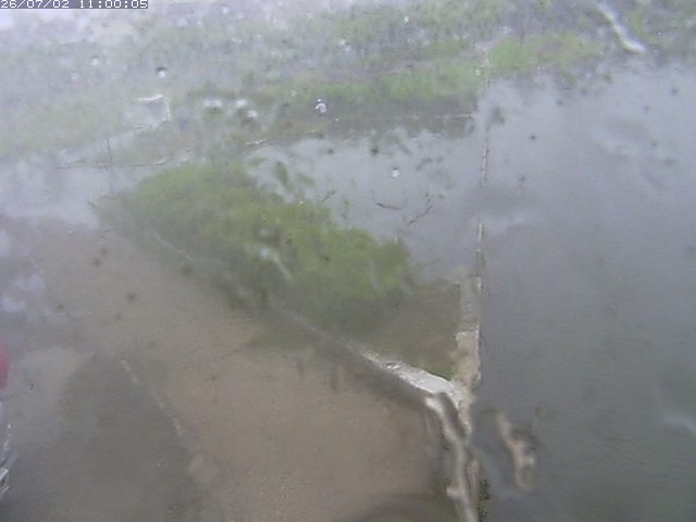 東郷池２2026/07/03 8:30:00